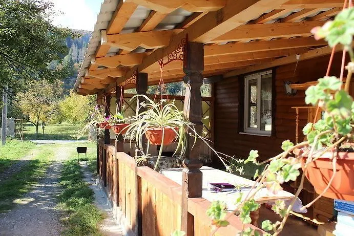 Kovcheg *
