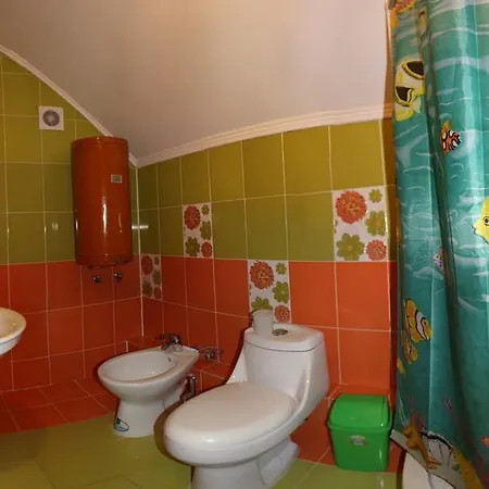 Kovcheg Guest house