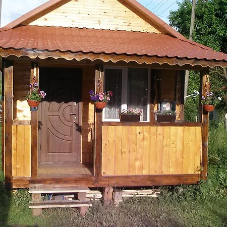 Guest house Kovcheg *